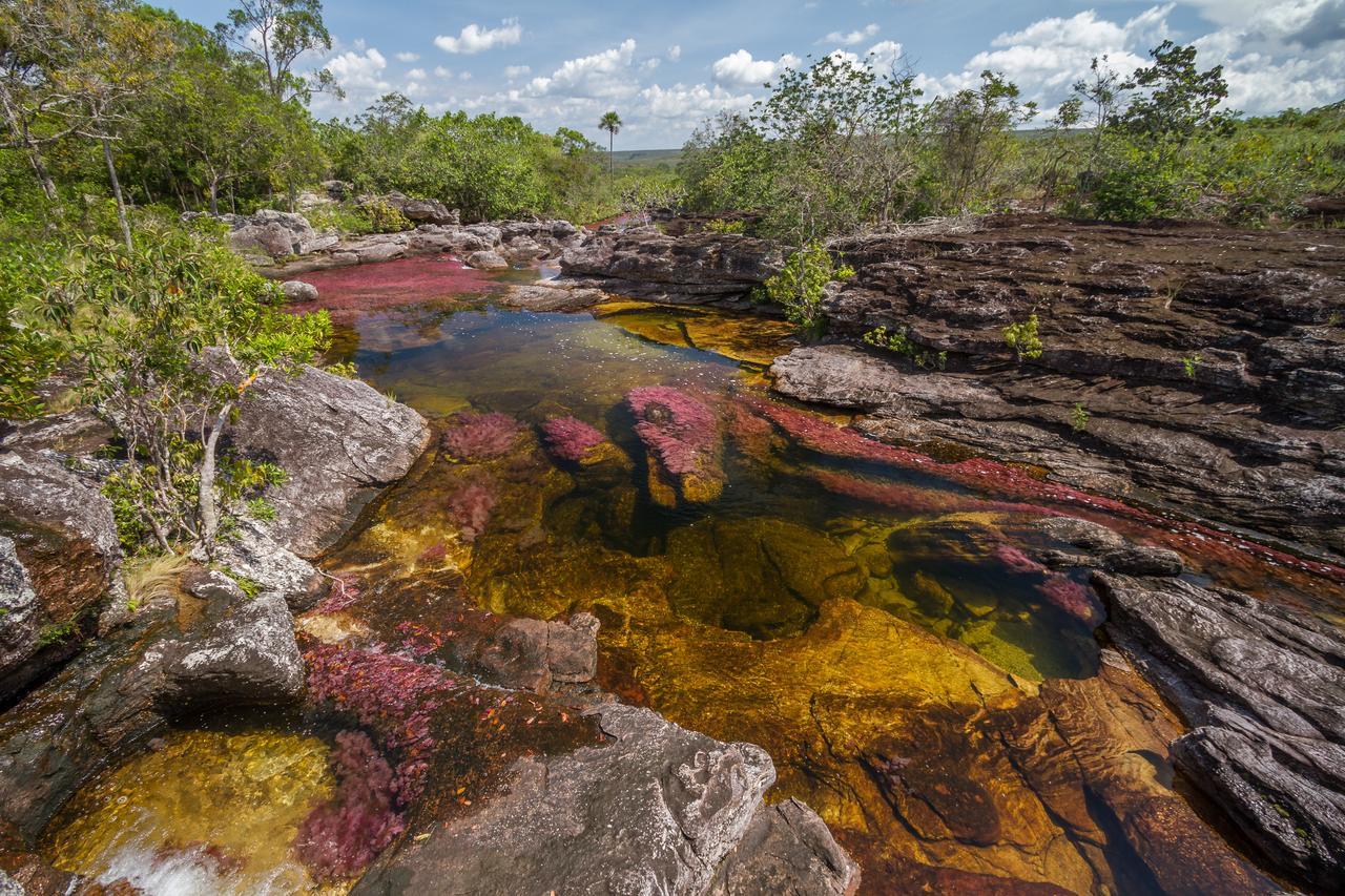 La Manigua Lodge La Macarena Eksteriør bilde